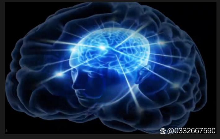 上海一餐厅被曝后厨卫生堪忧，监管部门已介入调查